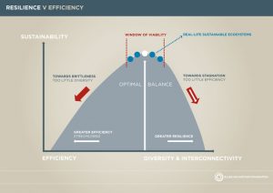A infographic showing the balance needed between efficiency and effectiveness when dealing with the environment.