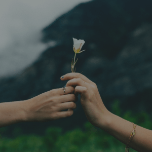 A person passing a flower to someone else, representing sharing