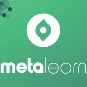 The logo of Metalearn, a website dedicated to learning methods