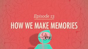 The title for the Crash Course video on how we make memories